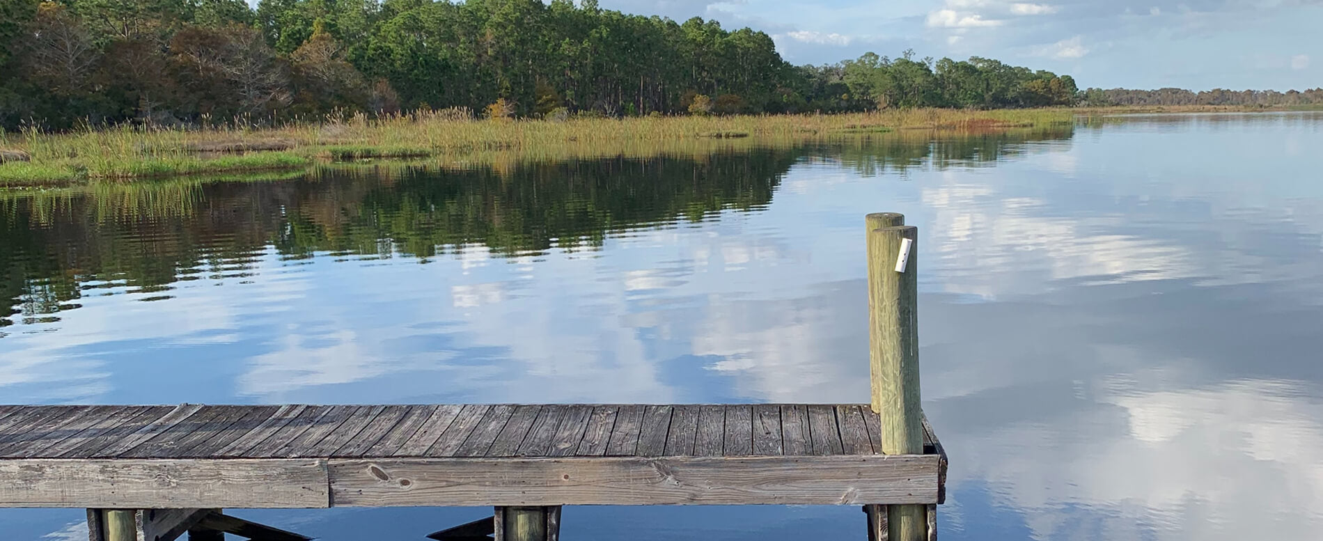 Crystal clear water in Orlando