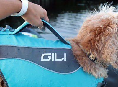 GILI dog life jacket Blue with grab handle