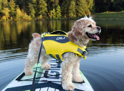 Dog Life Jacket Flotation Device